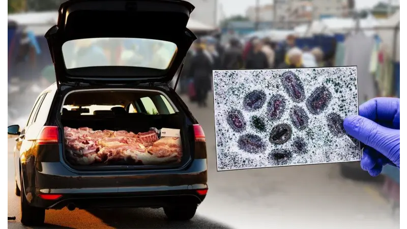 «Соғым маусымы келе жатыр»: Қазақстанда сібір жарасының алдын қалай алуға болады?