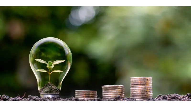 Tourism and Ecology: Achieving Sustainable Development