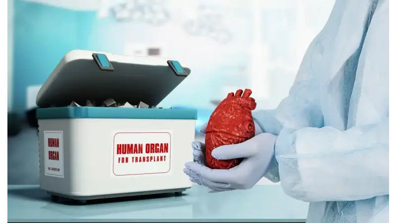 Organ Transplantation in Kazakhstan: How Can the Donor Shortage Be Solved?