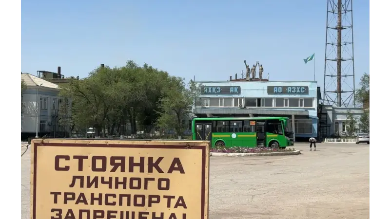 “Phytoremediation Using Poplar, Birch, and Willow”: Which Method Can Best Reduce the Impact of Heavy Metals in Aktobe?